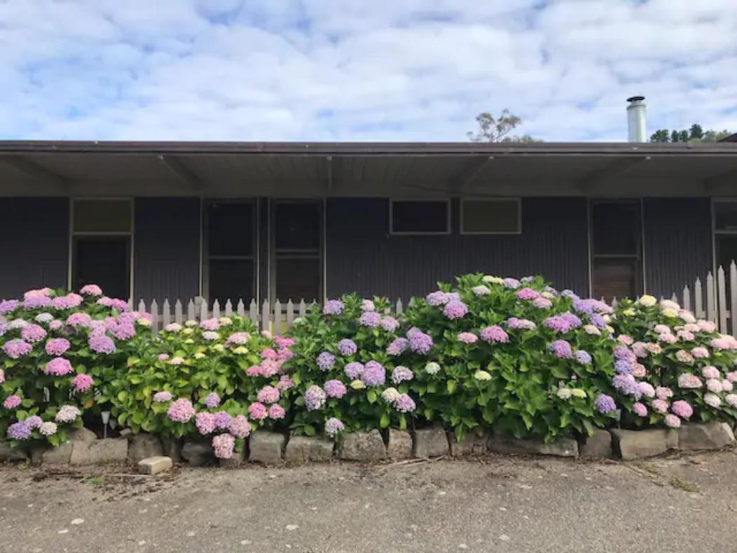 Nowa Nowa Motel - Budget Friendly Getaway In East Gippsland Exterior foto